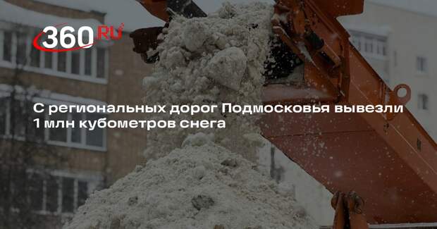 В Московской области вывезли рекордное количество снега за три зимних месяца