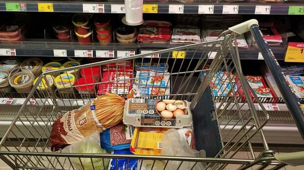 ПРОДУКТЫ С ИСТЕКАЮЩИМ СРОКОМ ГОДНОСТИ БУДУТ РАЗДАВАТЬ В МАГАЗИНАХ БЕСПЛАТНО