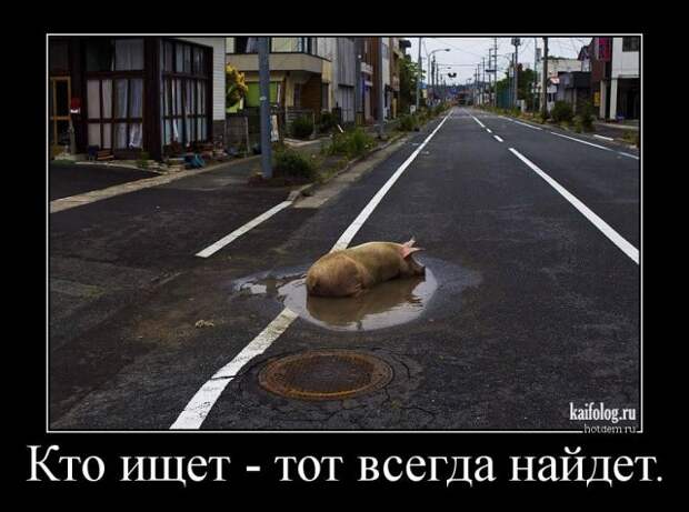 Философские демотиваторы года (55 штук)