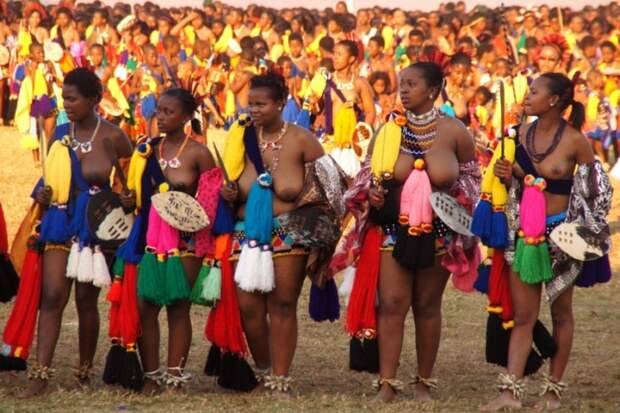 Тысячи голых девственниц на одном стадионе: как король Свазиленда выбирает жену девственницы, король, свазиленд