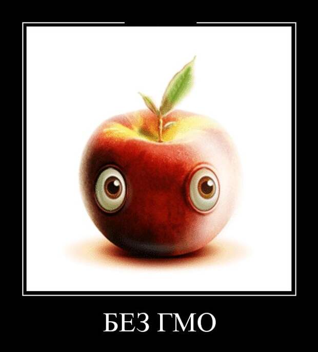 Демотиваторы (30 фото)