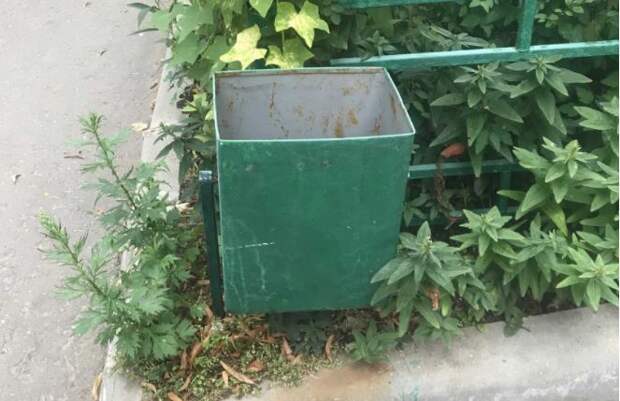 Во дворе дома на Гончарова установили урну по просьбе жителя