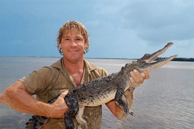 Стив Ирвин.Известный австралийский телеведущий, известный как "охотник за крокодилами", поскольку он специализировался на передачах об опасных животных, погиб во время репортажа в прямом эфире  история, факты