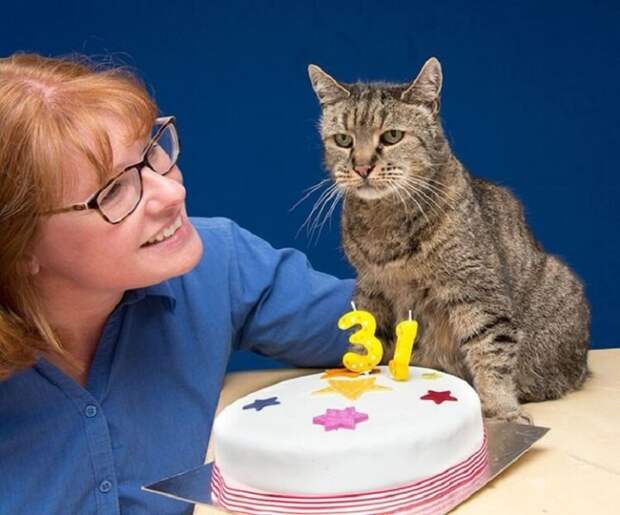 Старейший кот в мире отпраздновал 31-ый день рождения