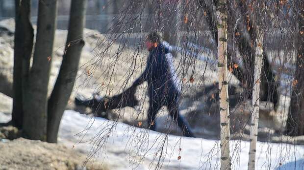 Метеоролог Цыганков рассказал, когда в Москве окончательно растает снег
