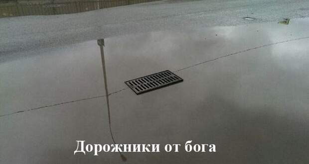 автоприколы
