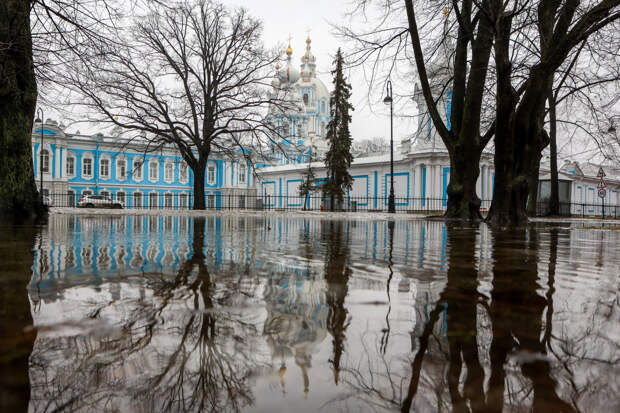 В Ленинградской области 11 марта воздух прогреется до +7 градусов