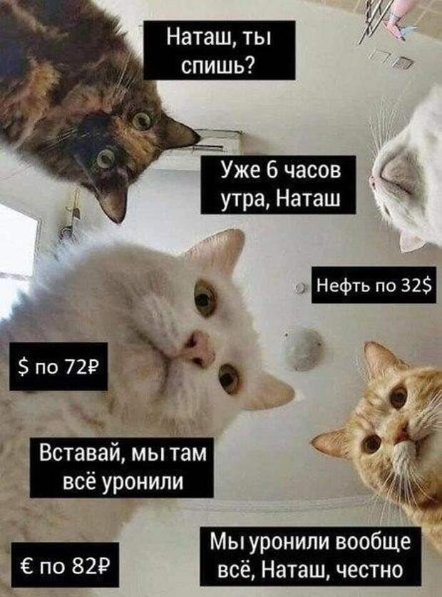 www.vsyako.net