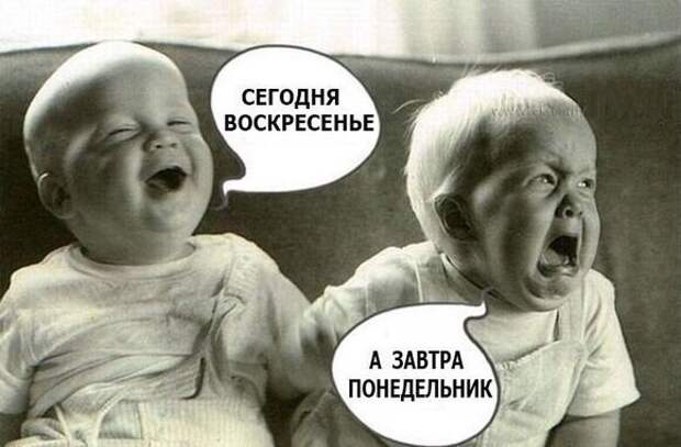 Немножко приколов Немножко приколов прикол, приколы, фото