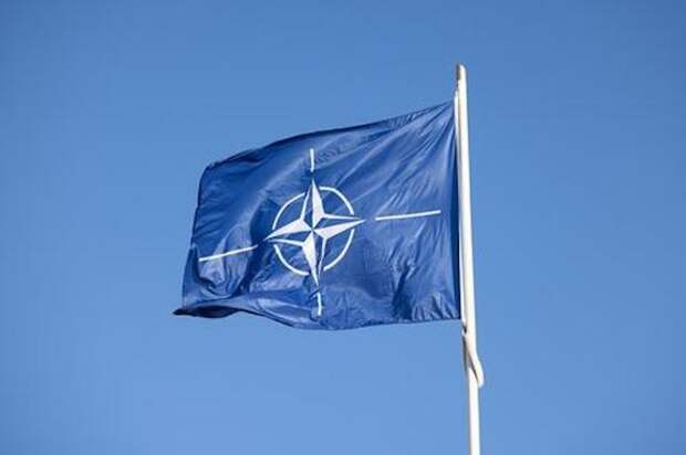 Самуэли: лидеры стран НАТО ошибочно считают, что смогут легко победить Россию