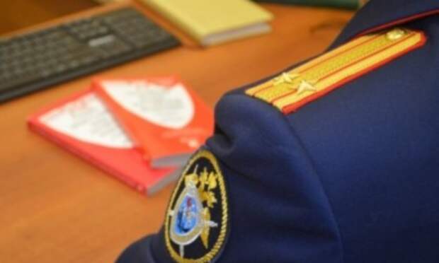 В Няндоме будут судить местного жителя, который убил соседа