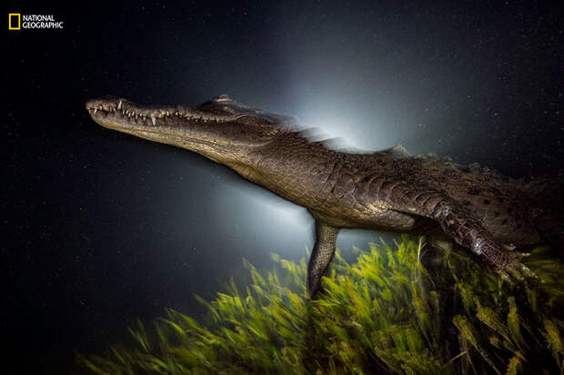 best-photos-2016-natgeo-national-geographic-63