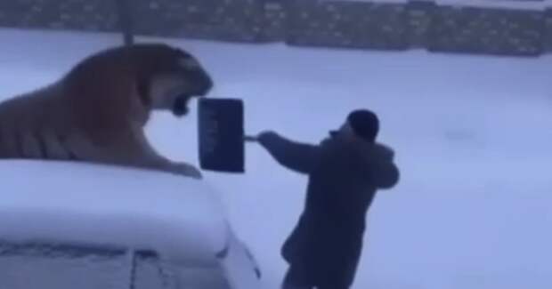 Цифровой хищник попал в сети Минлесхоза