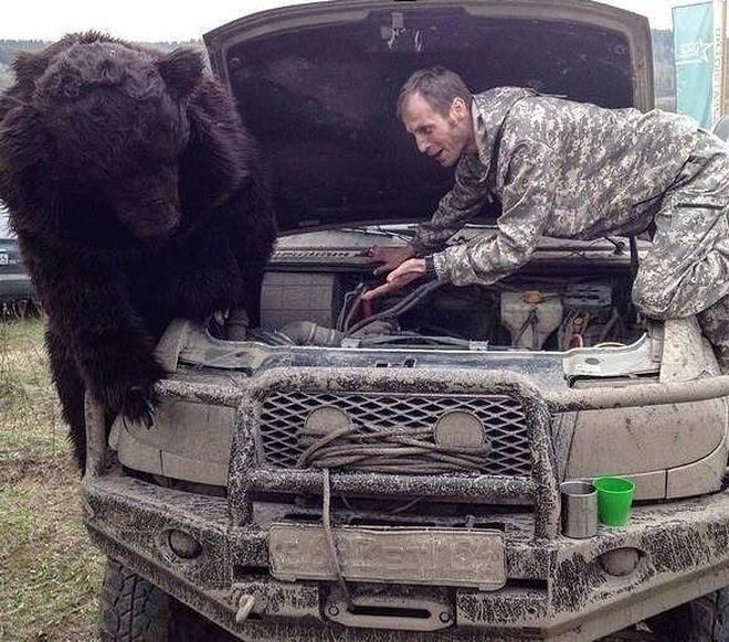 Свежая подборка автоприколов авто, автоприколы, приколы
