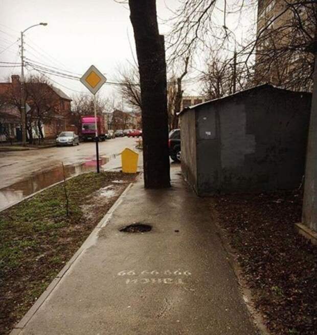 Маразмы и курьёзы вокруг нас (20 фото)