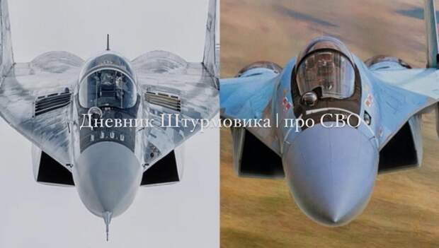 Истребители МиГ-29 (слева) и Су-35.   Изображение Military Watch