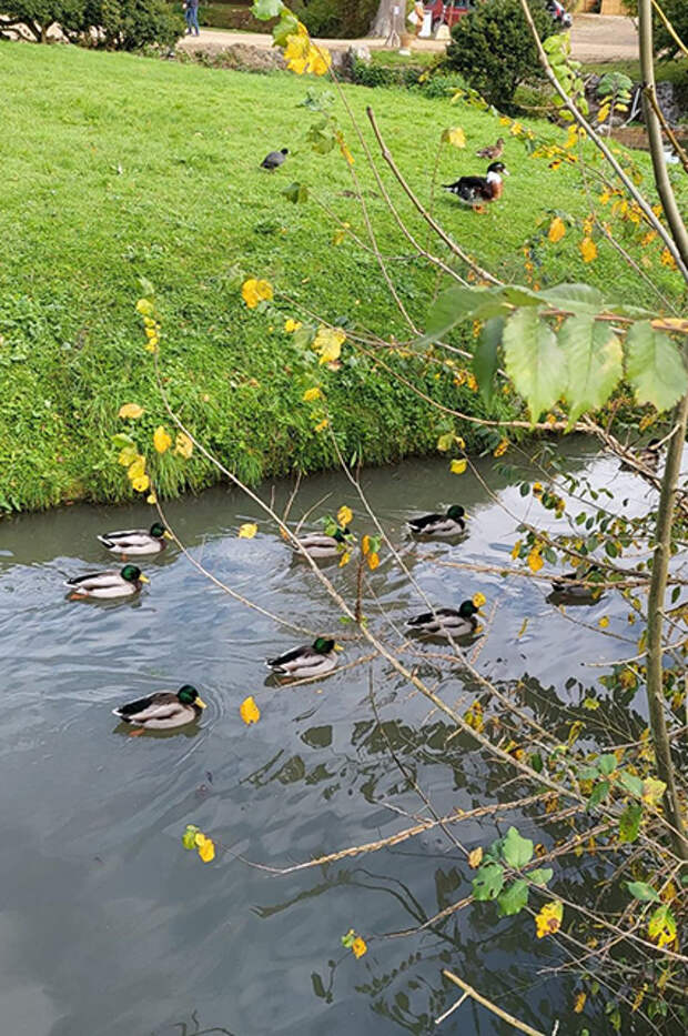 фото из инстаграма Натальи Водяновой