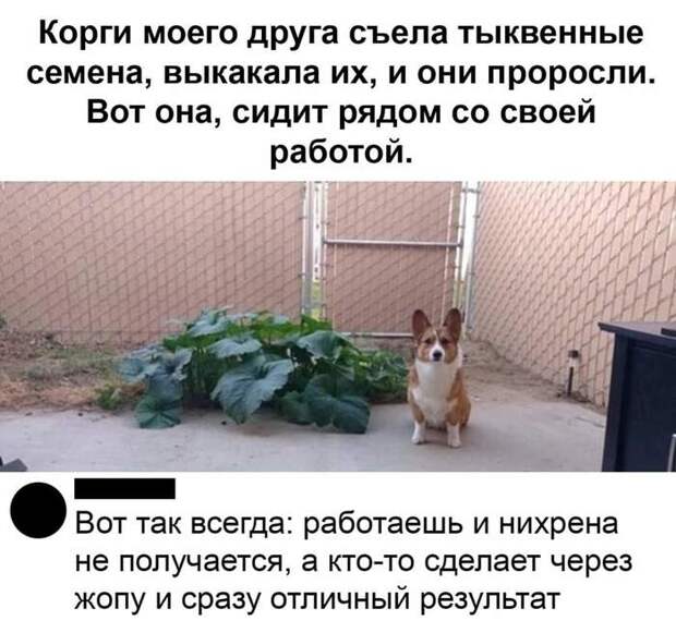 Закон подлости