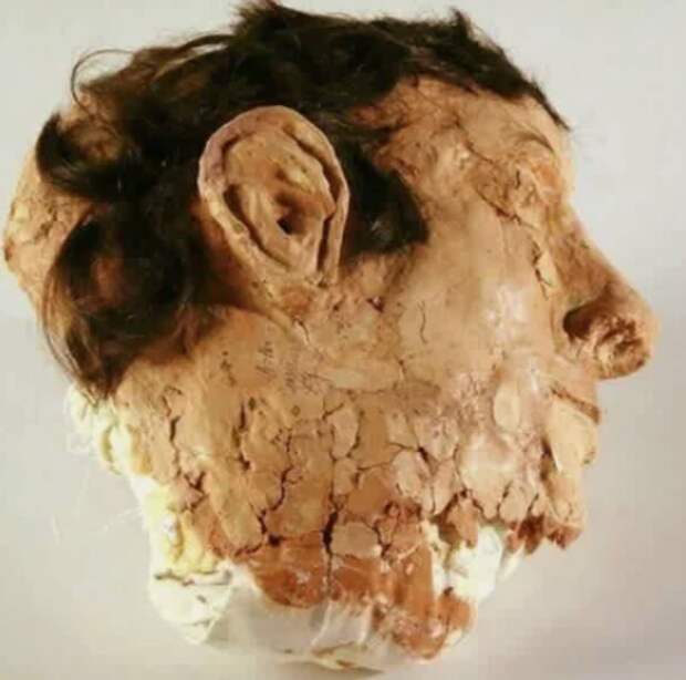 муляж, голова