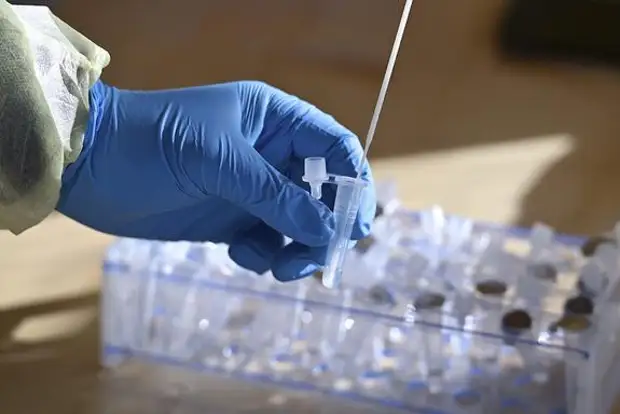 В России за сутки выявили 7 710 новых случаев заражения COVID-19