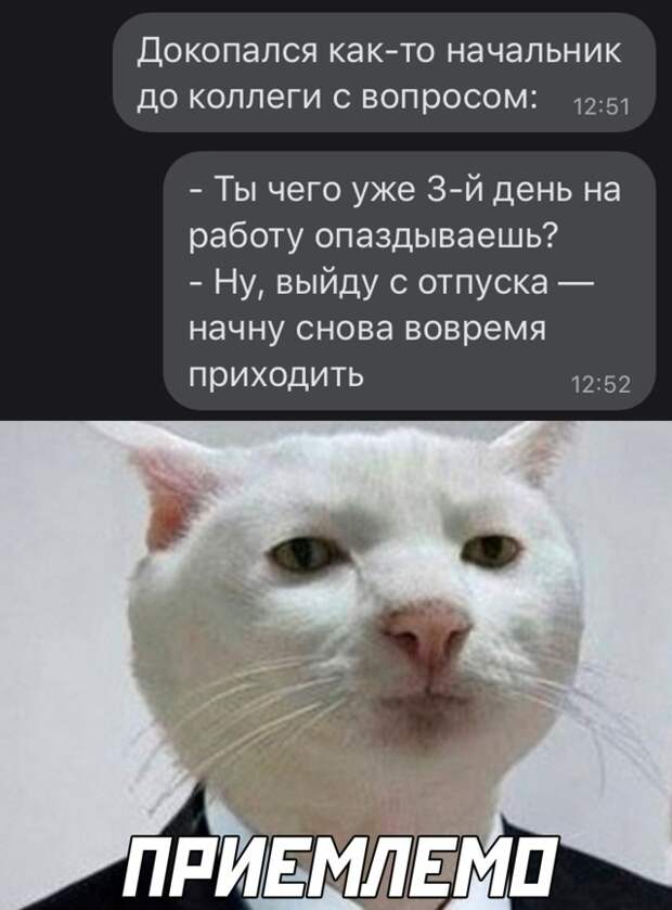 Смешные картинки 19 марта 2021