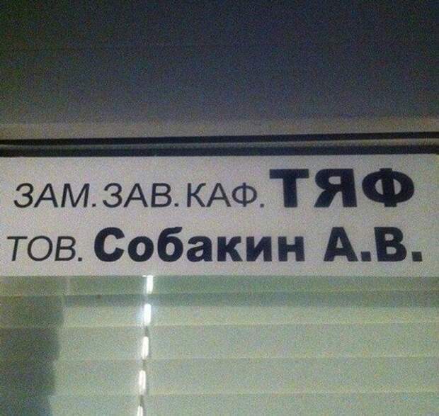 Зав. Каф. Тяф. Собакин. | Фото: fishki.net. Зав. Каф. Тяф. Собакин. | Фото: fishki.net.