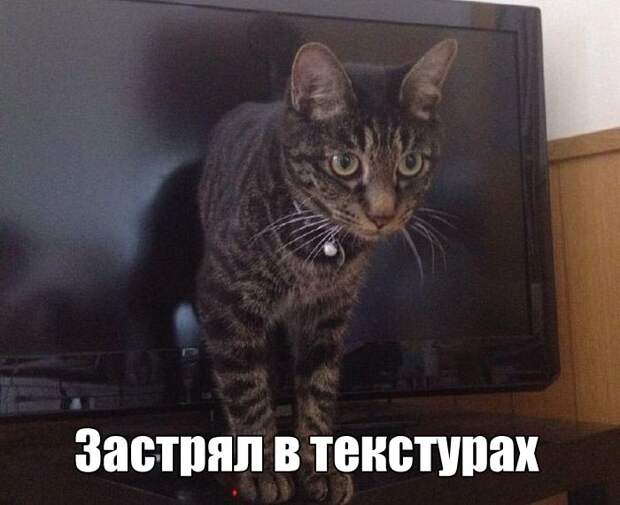 Прикольные картинки
