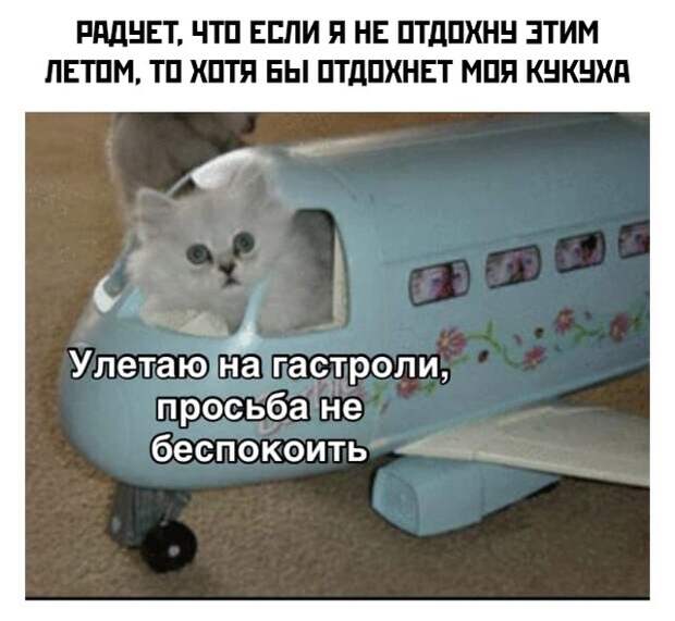 Смешные картинки 13 августа 2021 года