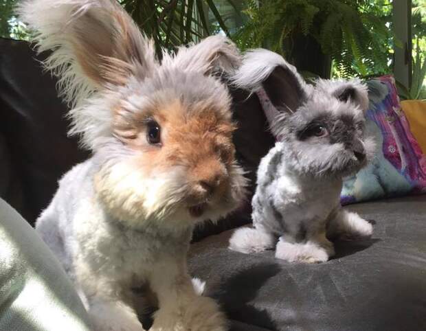 instagram.com/wally_and_molly