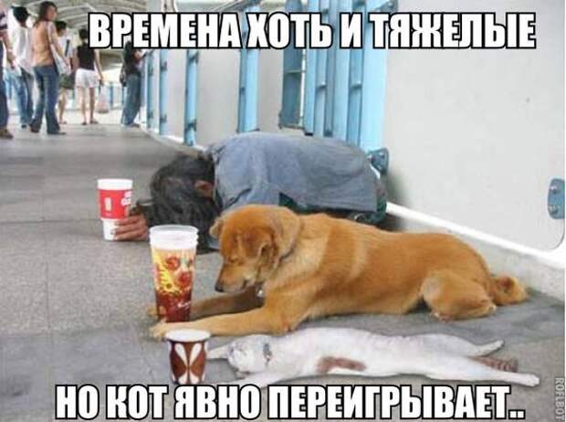 Картинки с надписями, которые поднимут вам настроение!