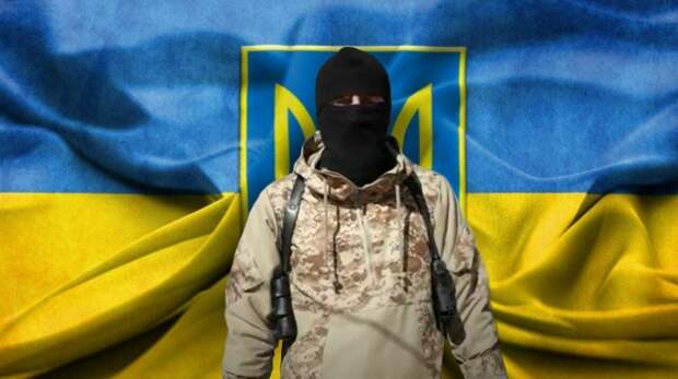 Александр Роджерс: Какие ещё нужны доказательства, что Украина - террористическое государство? 
