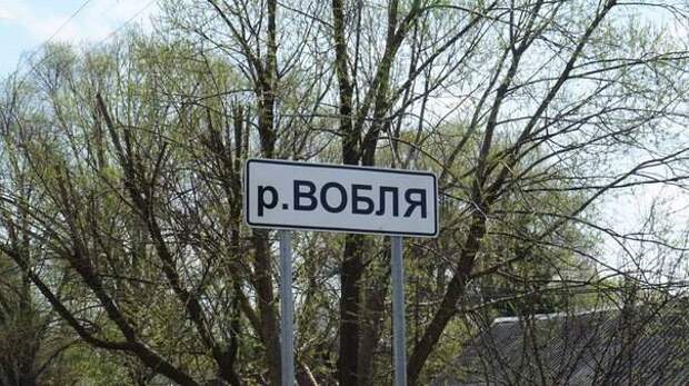 Река вобля в луховицах фото