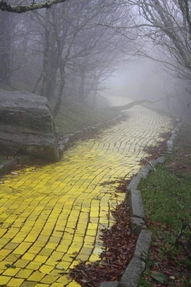 Дорога из желтого кирпича в заброшенном парке развлечений "Страна Оз" в Северной Каролине