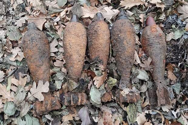 В Крымском районе подорвали девять боеприпасов времен войны