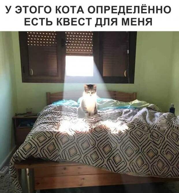 www.vsyako.net