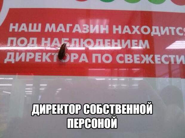Смешные картинки с надписями приколы, смешные картинки, юмор