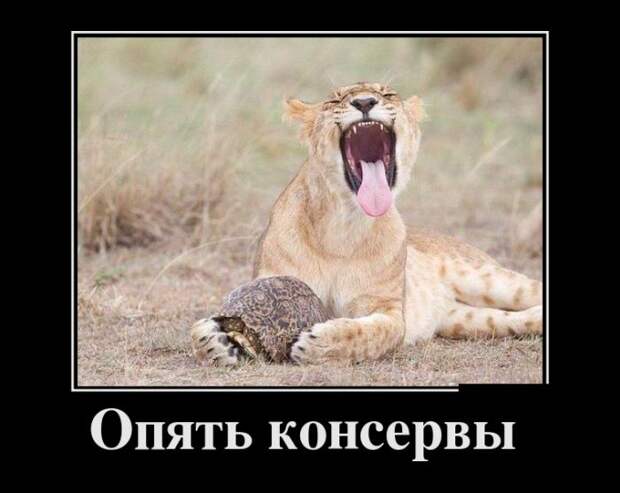 Демотиваторы (30 фото)