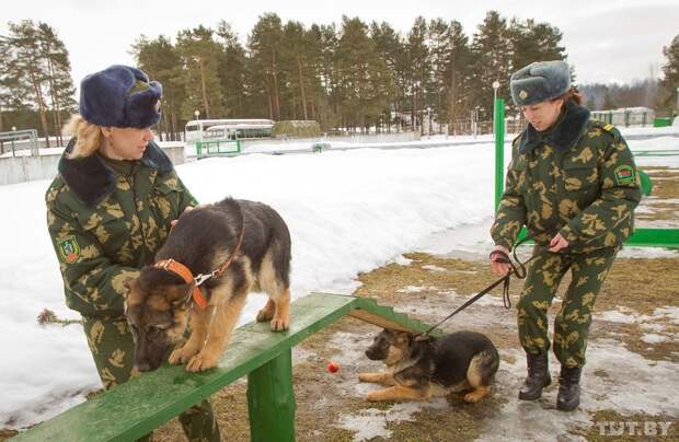 Кинологи