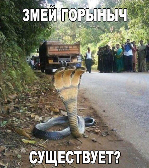 Картинки по запросу картинки с надписью до слез