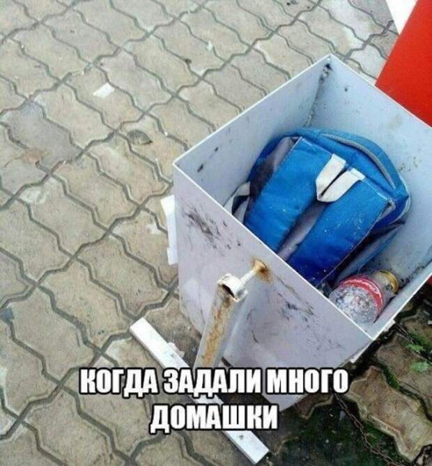 Новые прикольные фотомемы