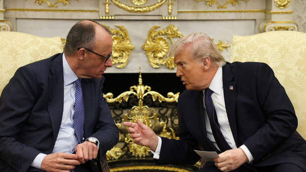 Мерц объяснил своё покорное и безропотное поведение в Белом доме