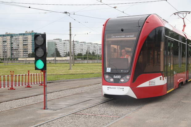 В Петербурге планируют построить трамвайную линию до ЖК "Цветной город" в Красногвардейском районе