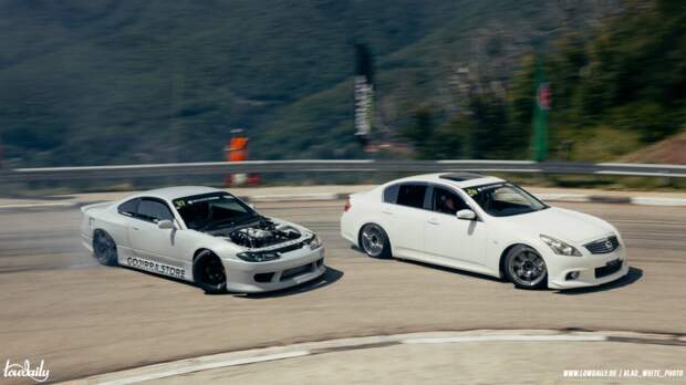 Lowdaily