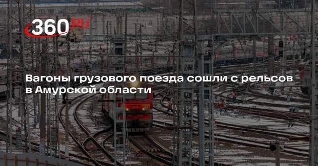 Вагоны грузового поезда сошли с рельсов в Амурской области