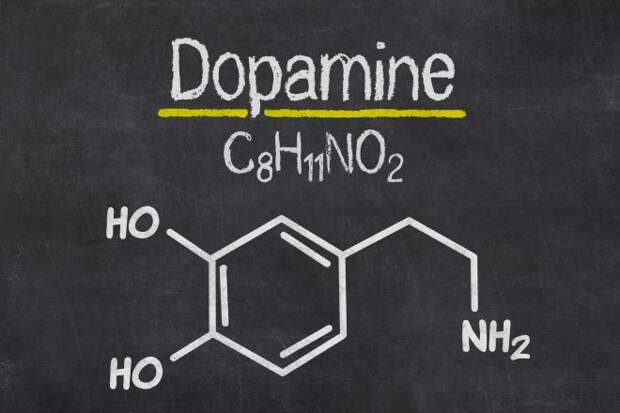 dopfamin 3r7w
