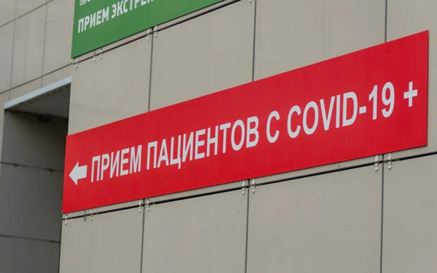 В Рязанской области выявили 95 новых случаев заражения COVID-19