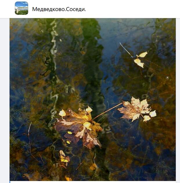 Фото дня: «Дыхание Осени Яуза»
