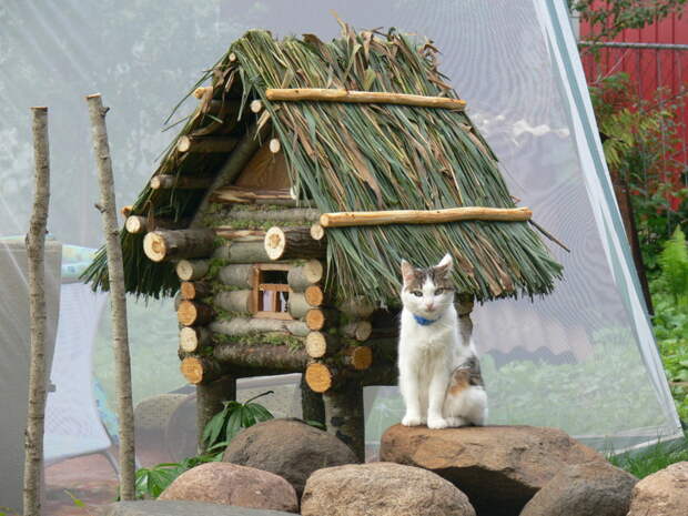 Декоративный домик-сруб на дачном участке своими руками декоративный домик сруб, домик для кошки, своими руками, сделай сам