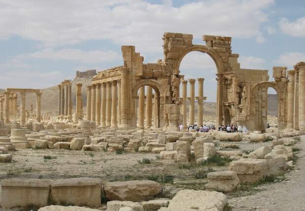 palmyra