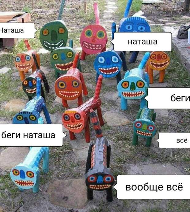 «Наташ, вставай! Мы уронили вообще все!»: на фоне последних событий в сети обрел популярность новый мем с котами